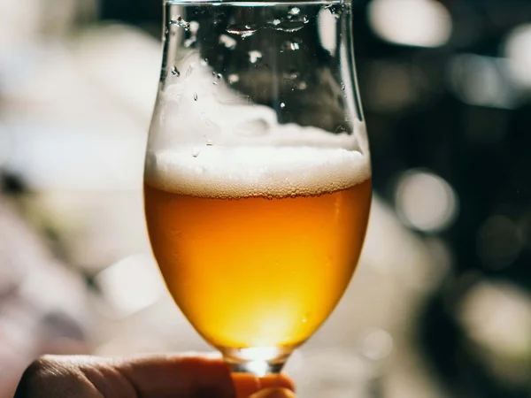 Alles rund ums Bozner Bier Alles rund ums Bozner Bier